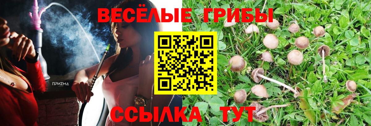 Псилоцибиновые грибы Magic Shrooms  Вход с VPN  Галлюциногенные грибы GOLDEN TEACHER  Железногорск 