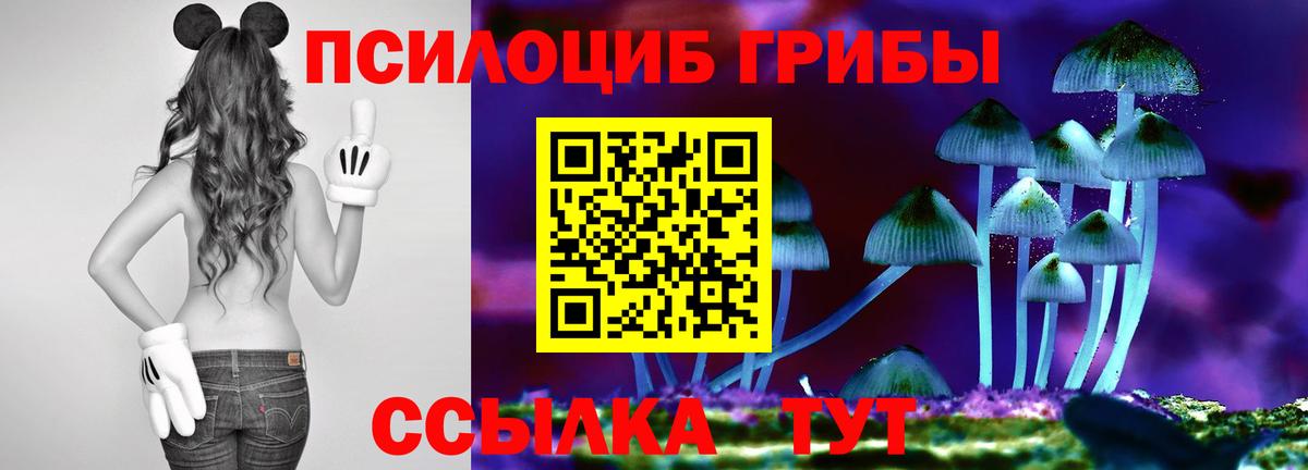 Галлюциногенные грибы Magic Shrooms Железногорск